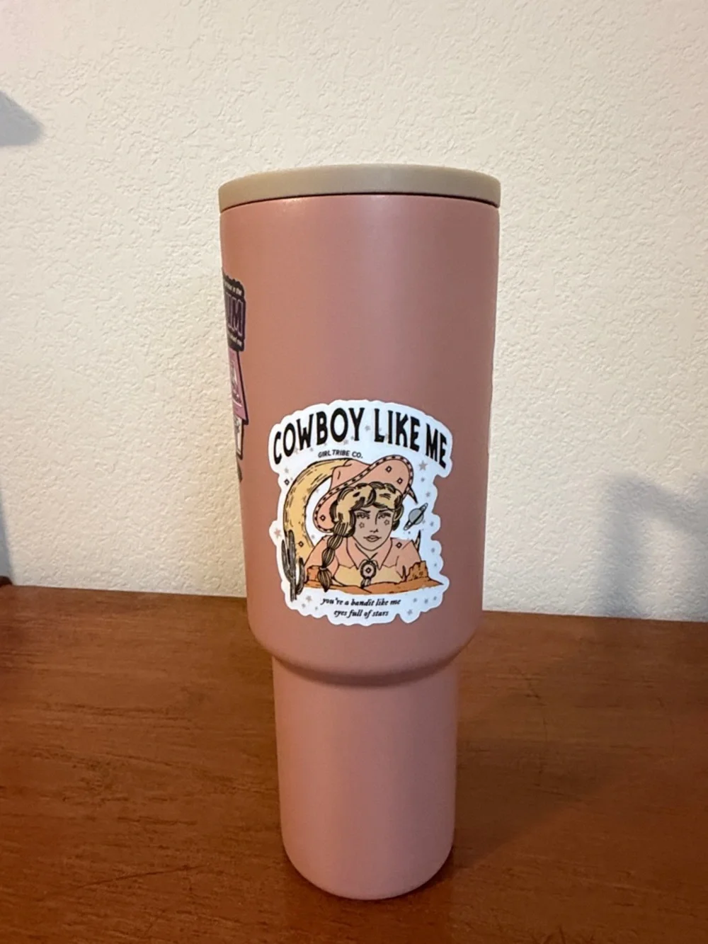 40 oz Insulated Travel Tumbler with Handle ft Taylor Swift inspired stickers
